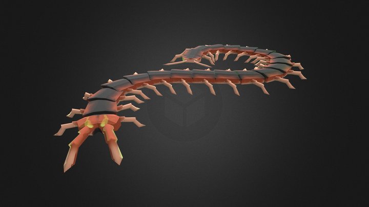 Centipede 3D Model
