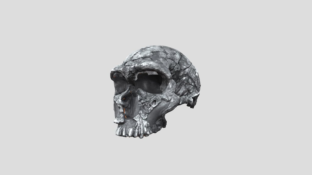 UNC_Scan_36