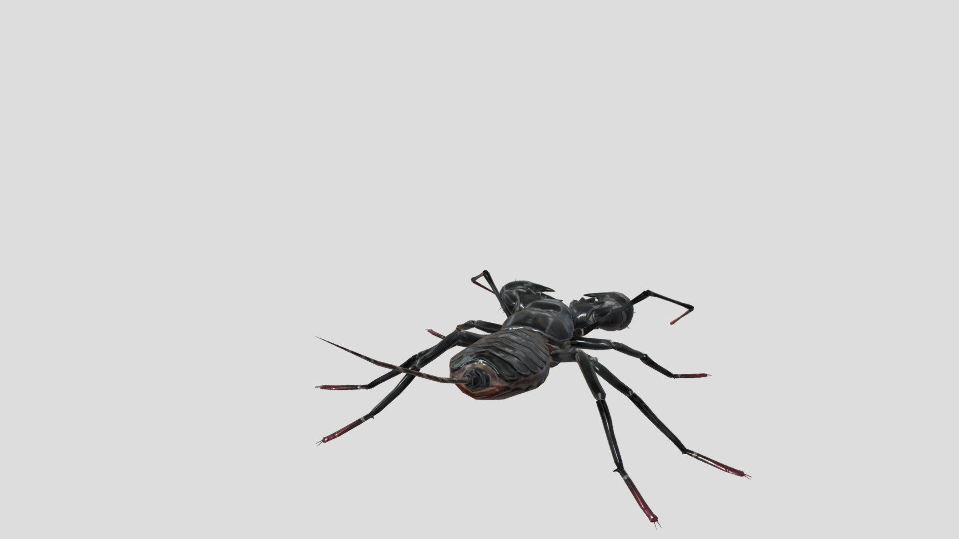 Lowpoly Vinegaroon (2)