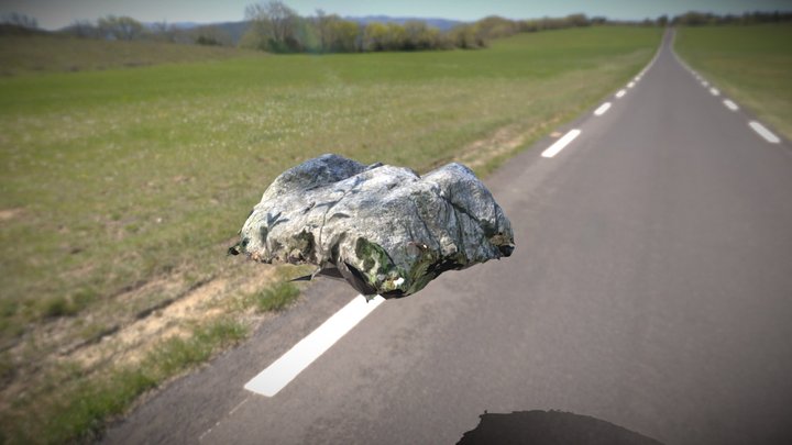 rock_fbx 3D Model