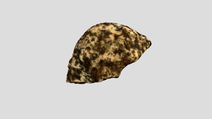 Fragment_neolithic_ring_bracelet_draft_R1(CGT) 3D Model
