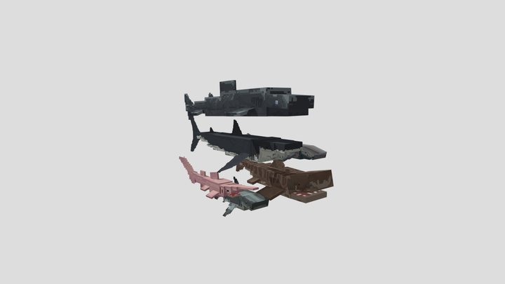 Sharks SQUAD 3D Model
