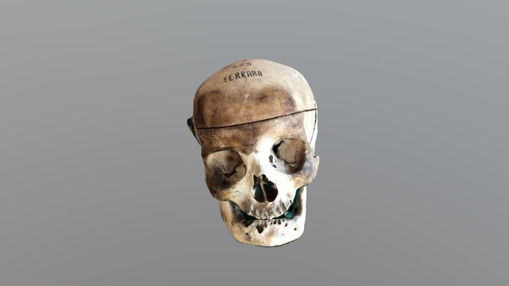 Ferrara 479 3D Model