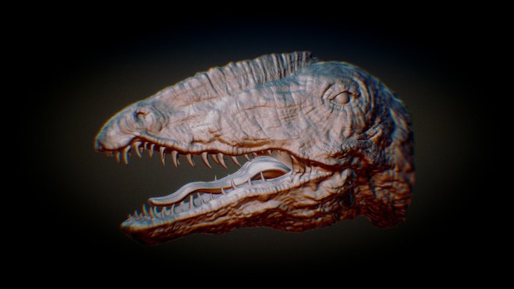 Head Only 3D Model