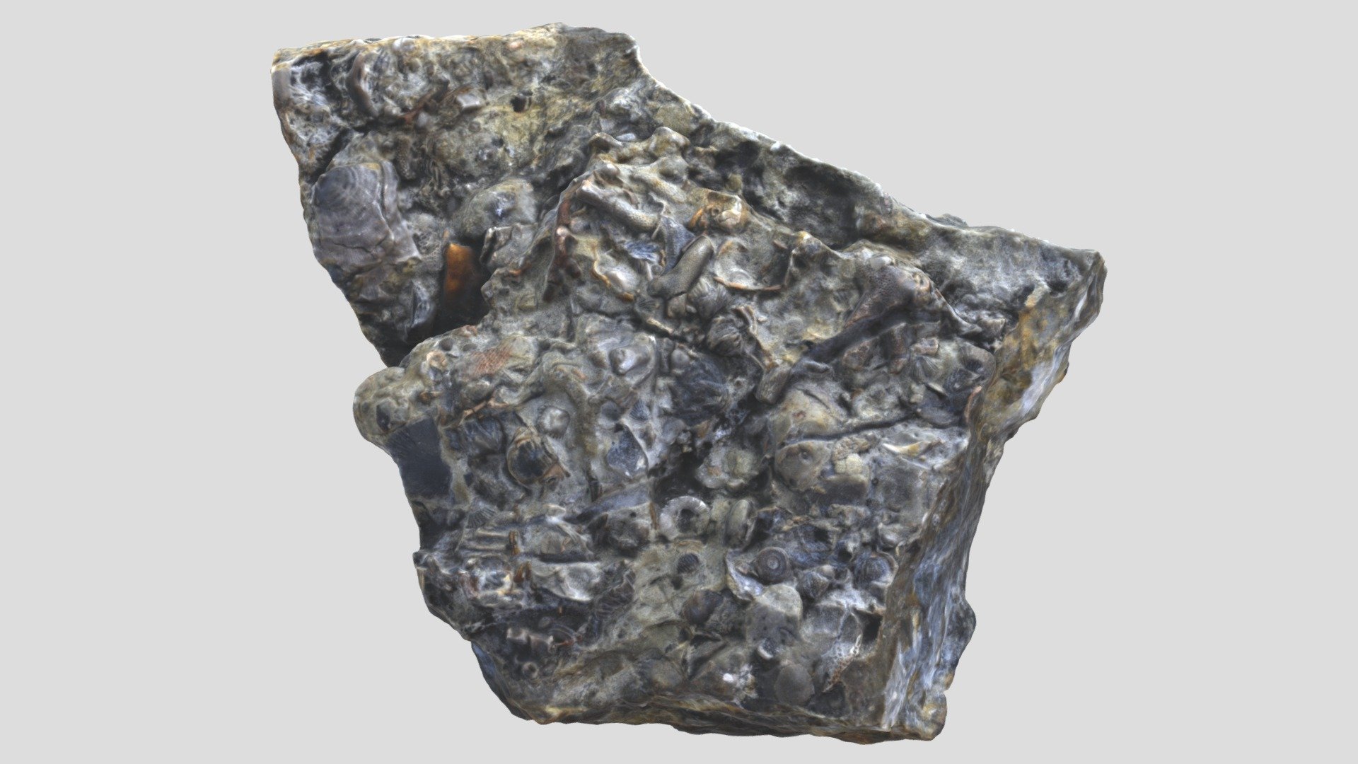 P53