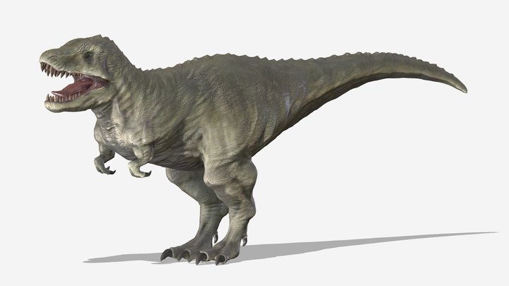 Tyrannosaurus Rex mit _ 3D Effekt beim Bewegen ! Dinosaurier Schultüte 7 