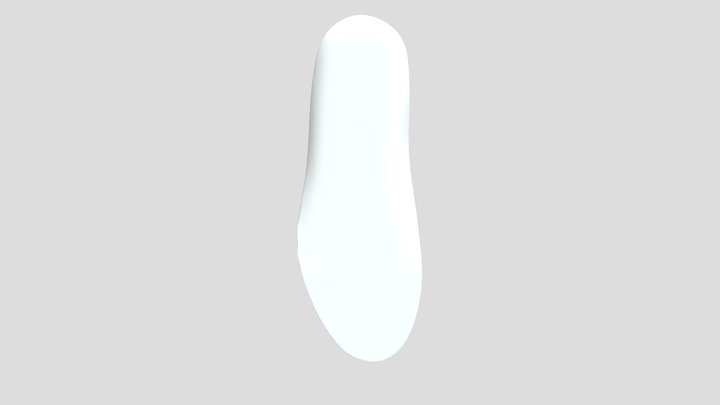 Insole 3D Model