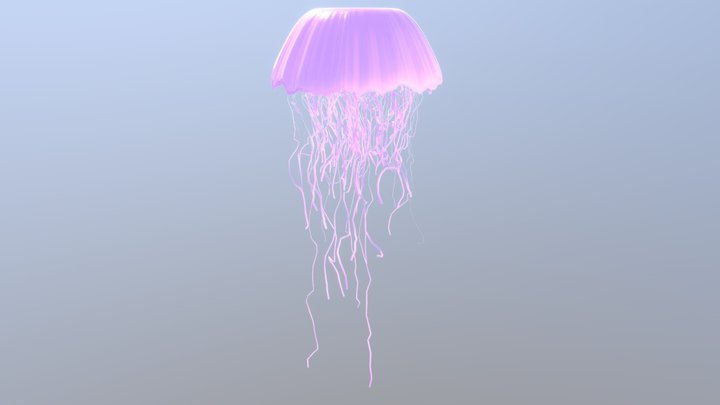 Jellyfish