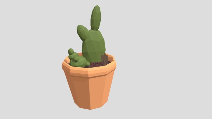 Primitive Cacti 3D Model