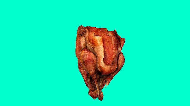 Thanksgiving Turkey 2016 3D Model