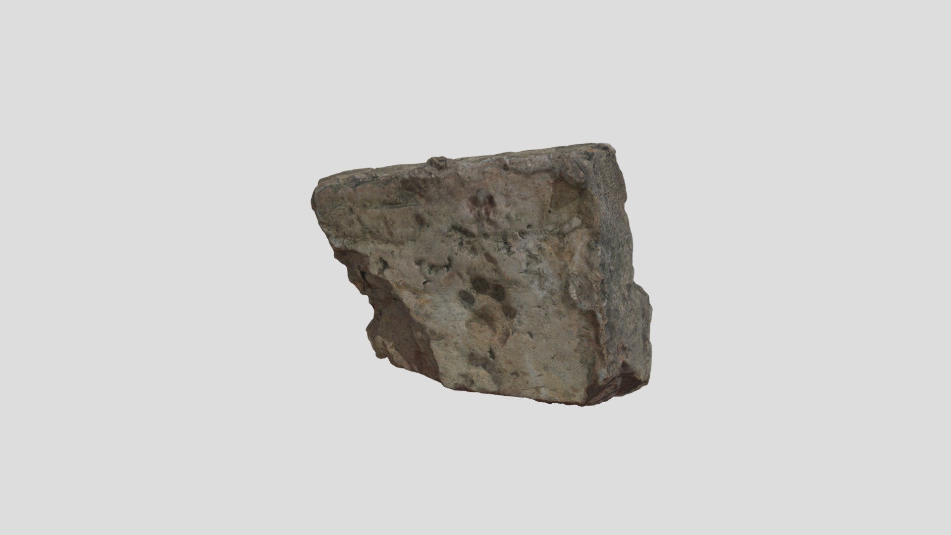 Brick with paw prints