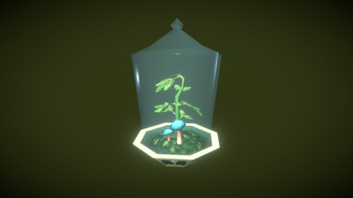 Herb Terrarium 3D Model