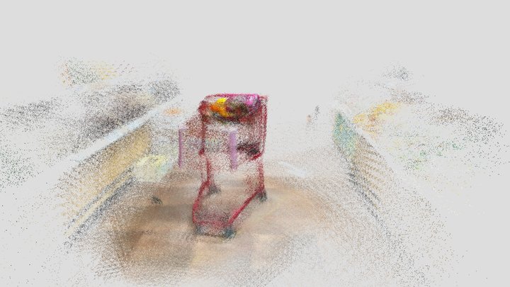 TJ's Shopping Cart Point Cloud 3D Model