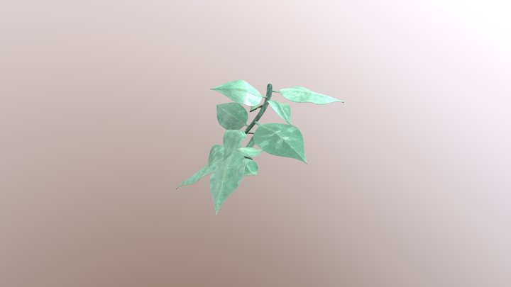 Plant_basic 3D Model