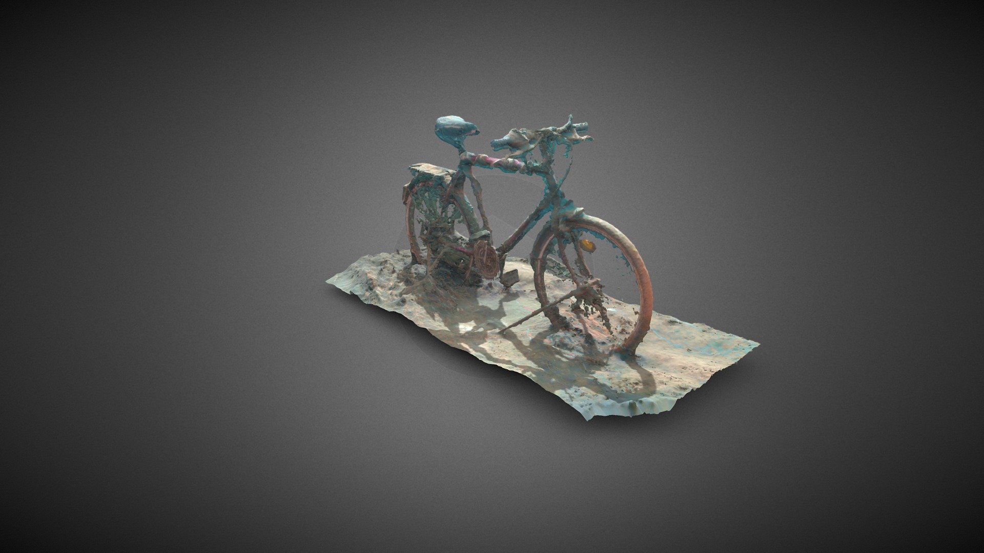 Bicycle Goldberger See