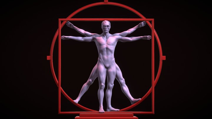 The Vitruvian Man - omsx 3D Model