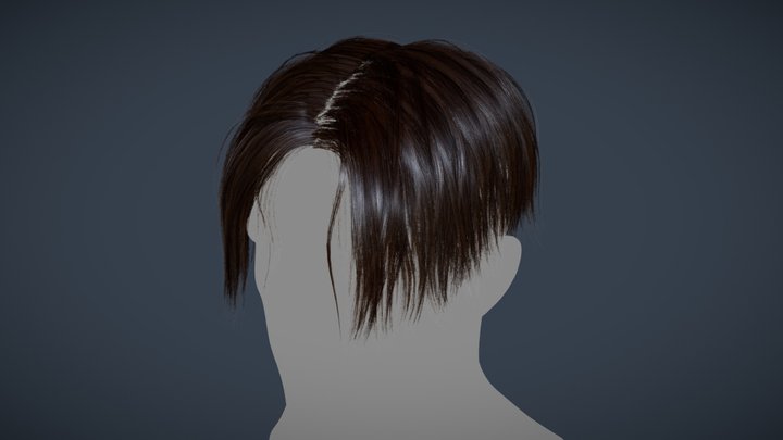 Haircut 3D models - Sketchfab