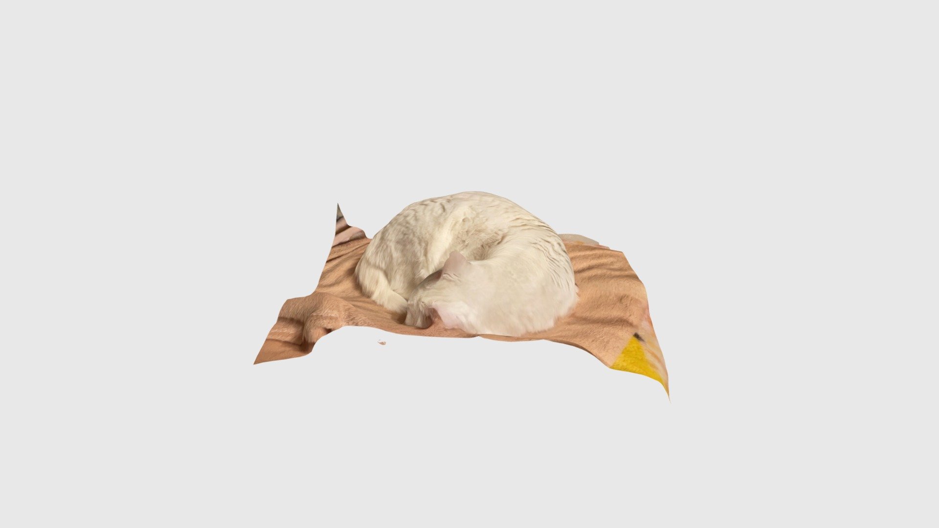 こゆき