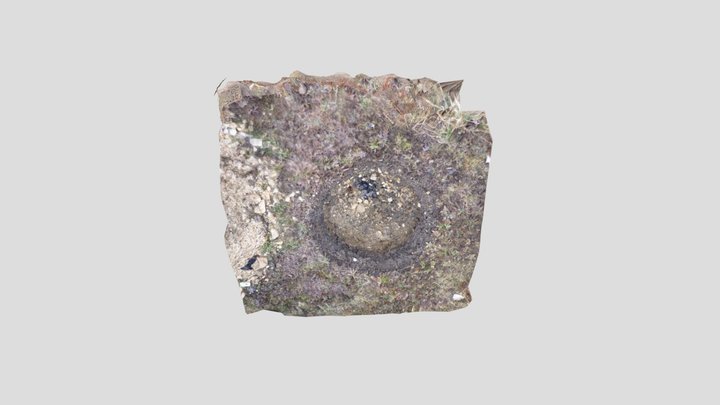 F01_2023-03-9 3D Model