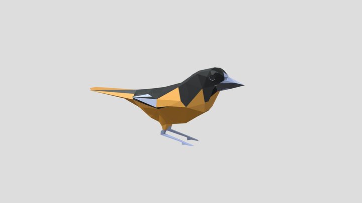 Low Poly Baltimore Oriole (Male) 3D Model