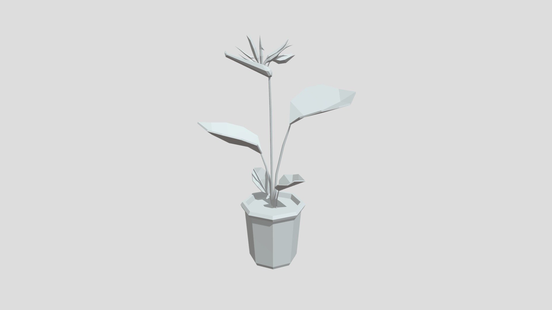 Birds of paradise from Poly by Google