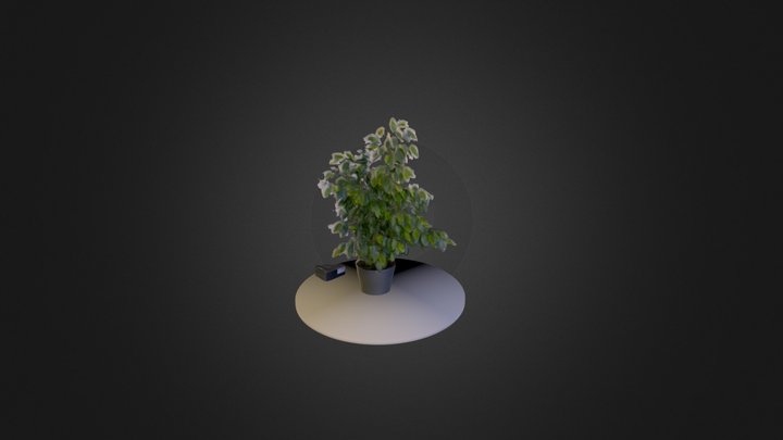 Office plant with socket 3D Model