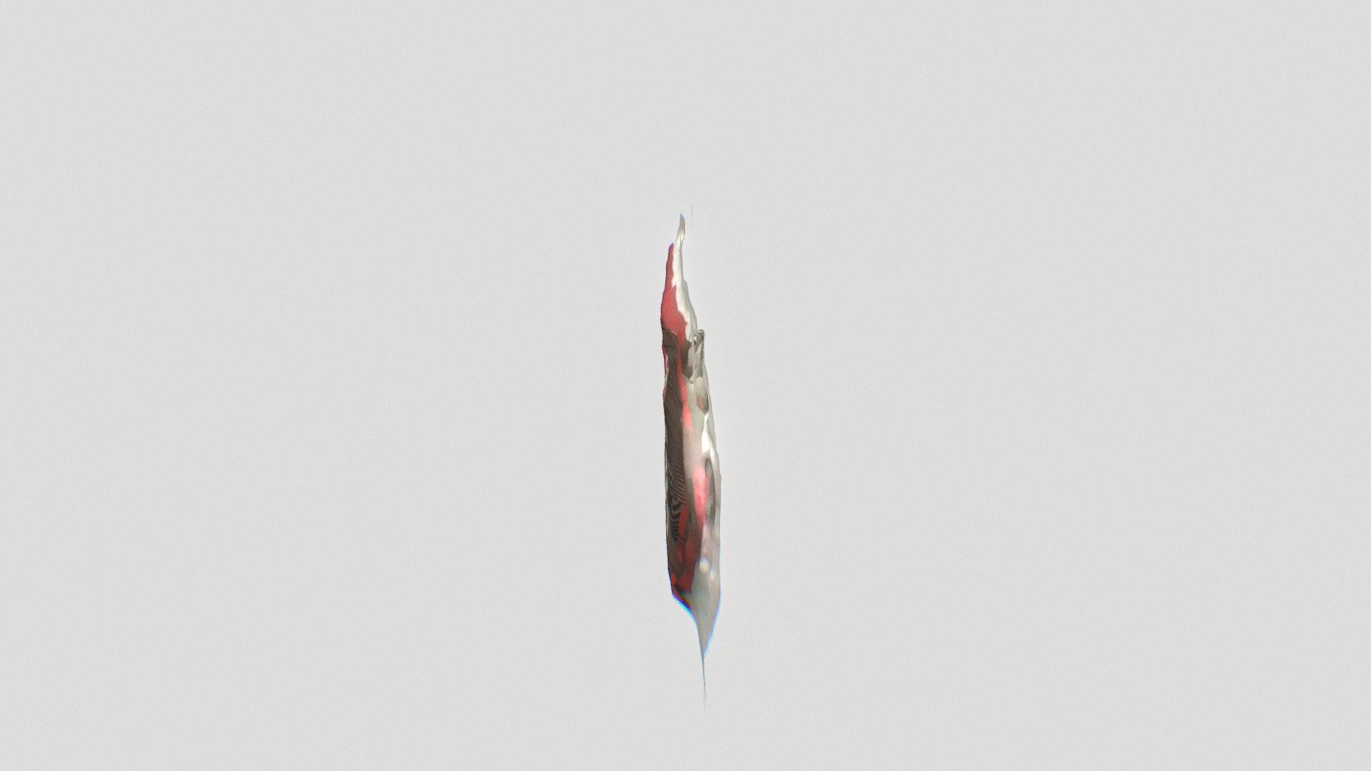 Polycam capture