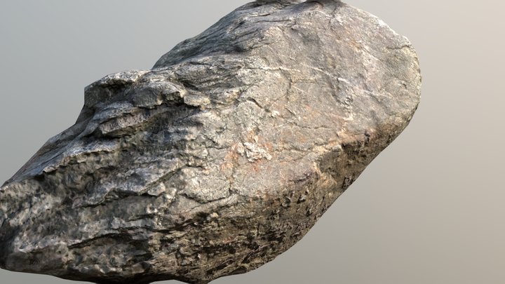 Forest Stone Scan 3D Model