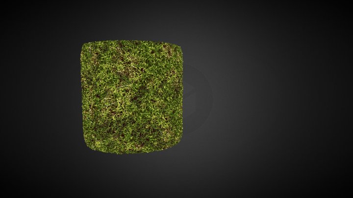 Moss PBR Shader 3D Model