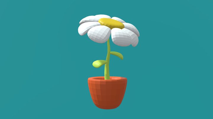 Chamomile 3D Model