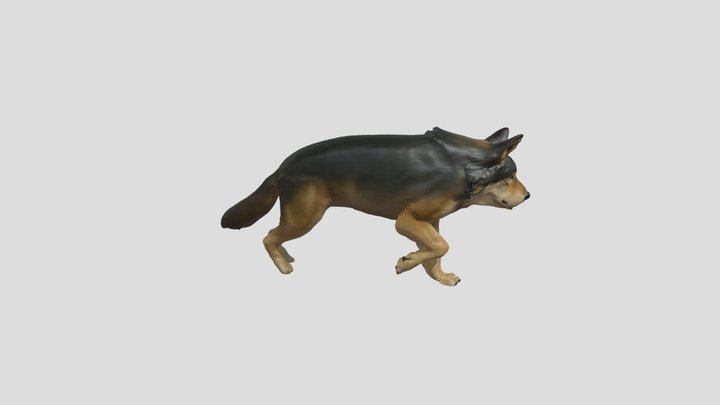 3D Wolf Model