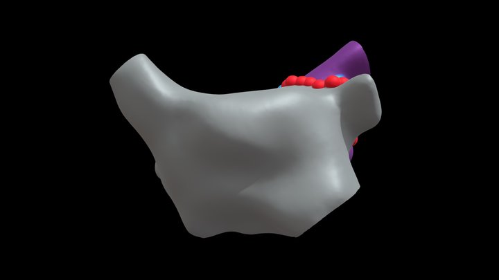 LSPV Gap Full_gray 3D Model