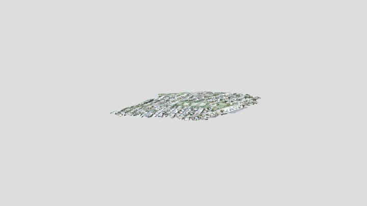 COMPARASION CON SPSO_simplified_3d_mesh 3D Model