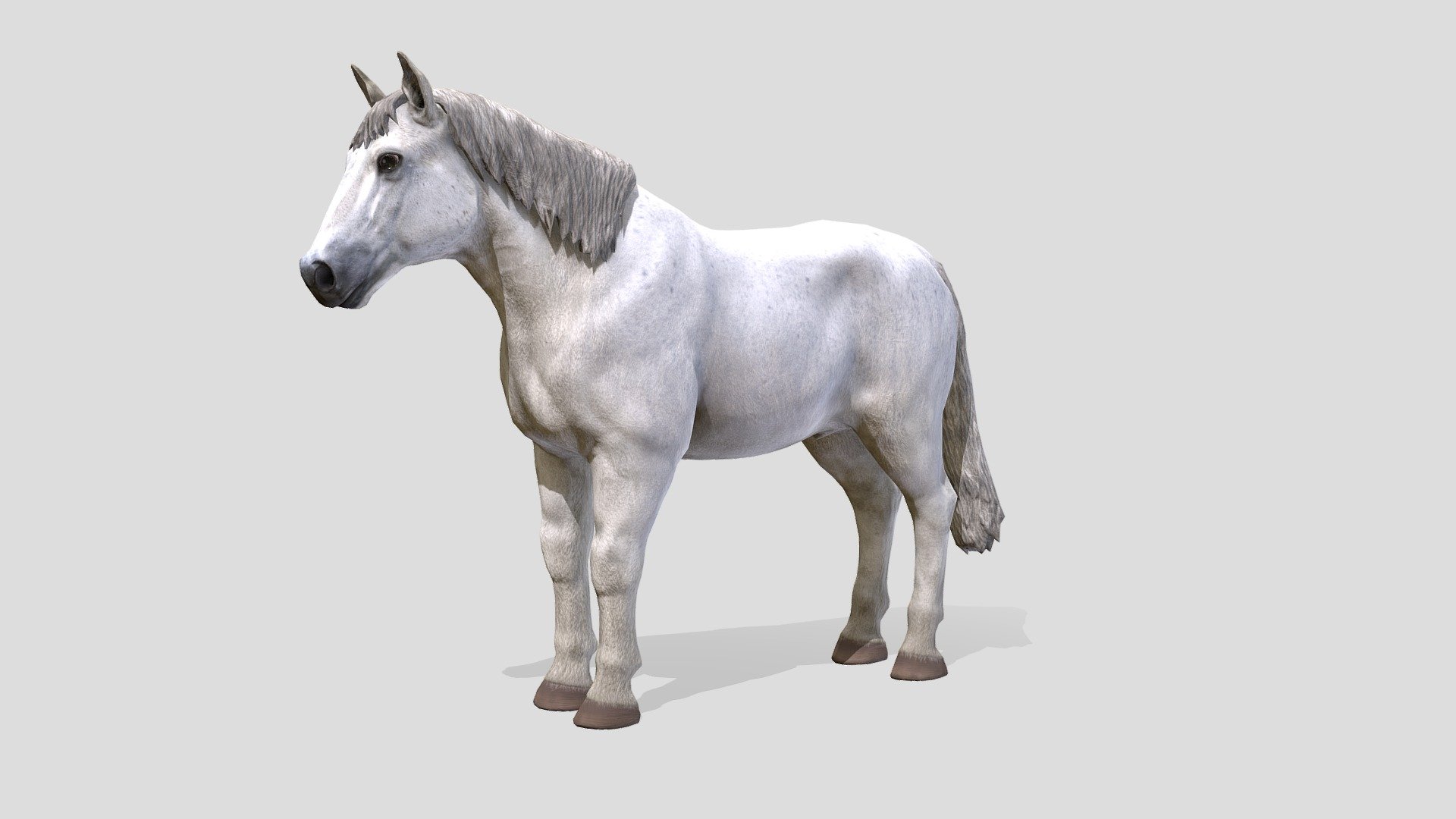 Horse Stallion - Buy Royalty Free 3D model by RedDeer (@billl90 ...