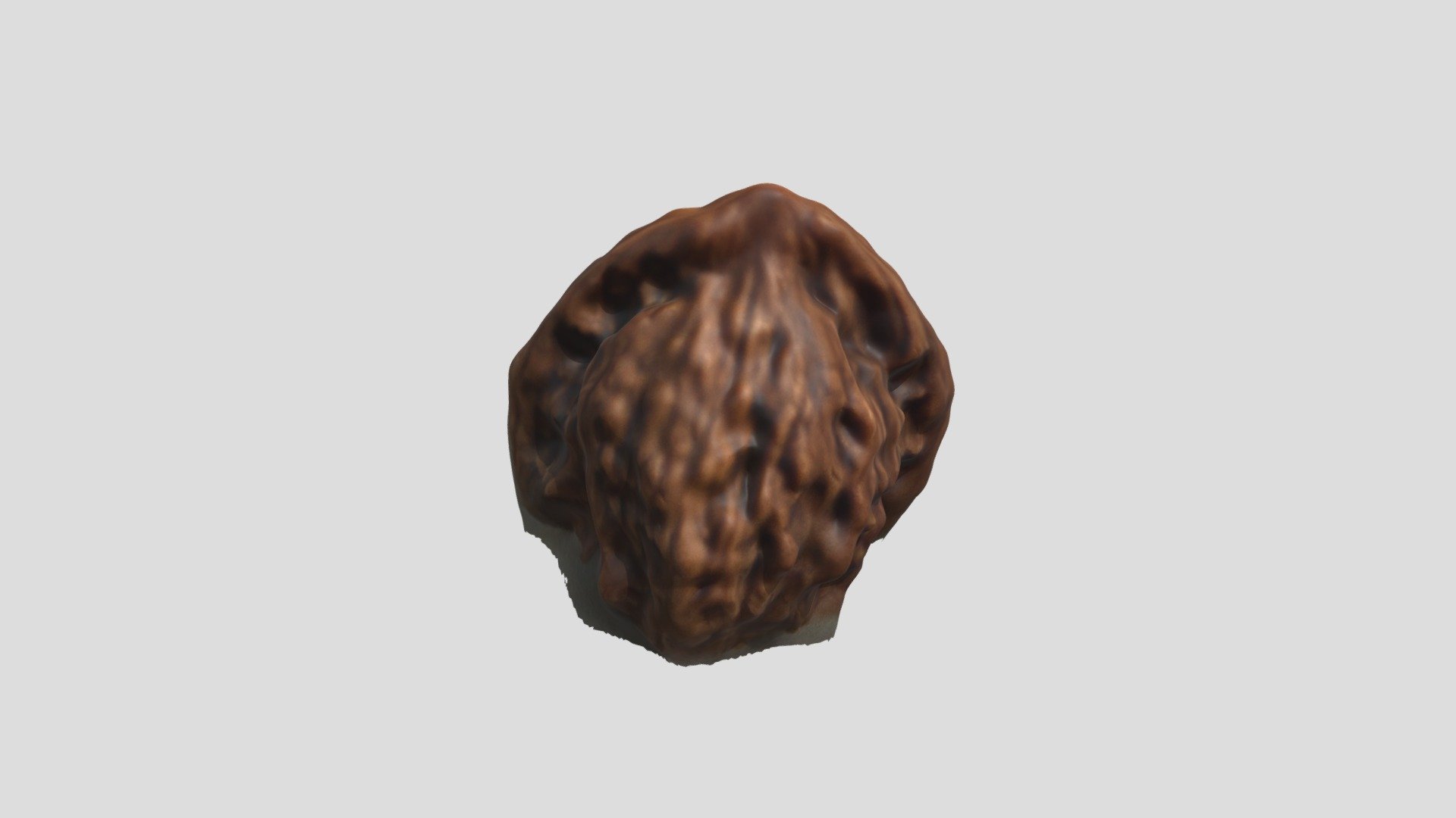 Walnut - 3D model by MoonZoom [c8f2cef] - Sketchfab
