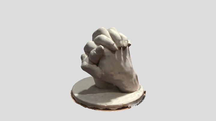 Hands 3D Model