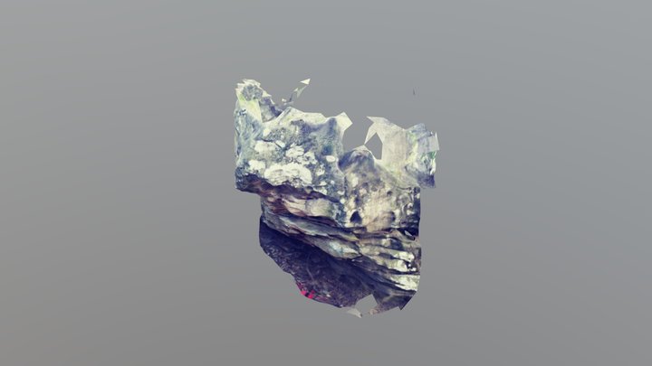The Warmup 3D Model