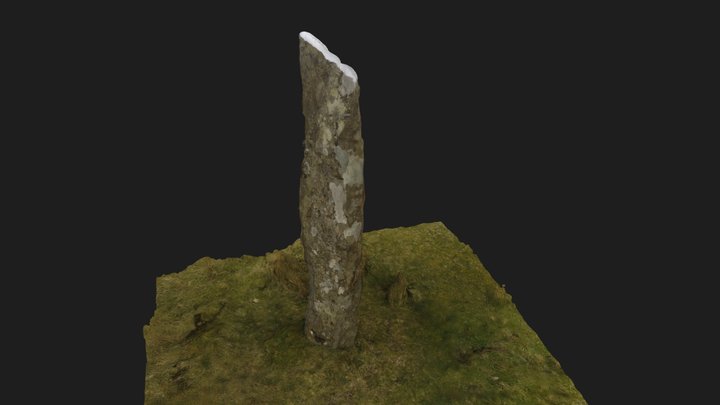Standing stone - video 3D Model
