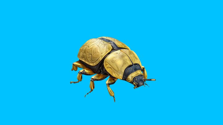 A realistic beetle 3D Model