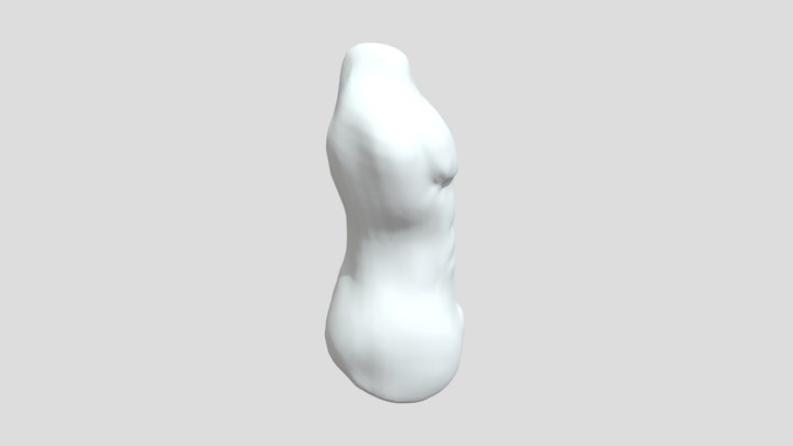Male anatomy 3D Model