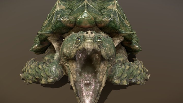 Alligator Snapping Turtle 3D Model