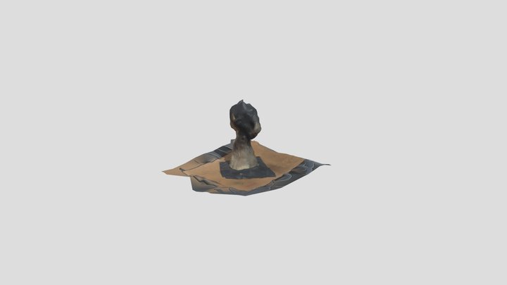 644230061_head 3D Model