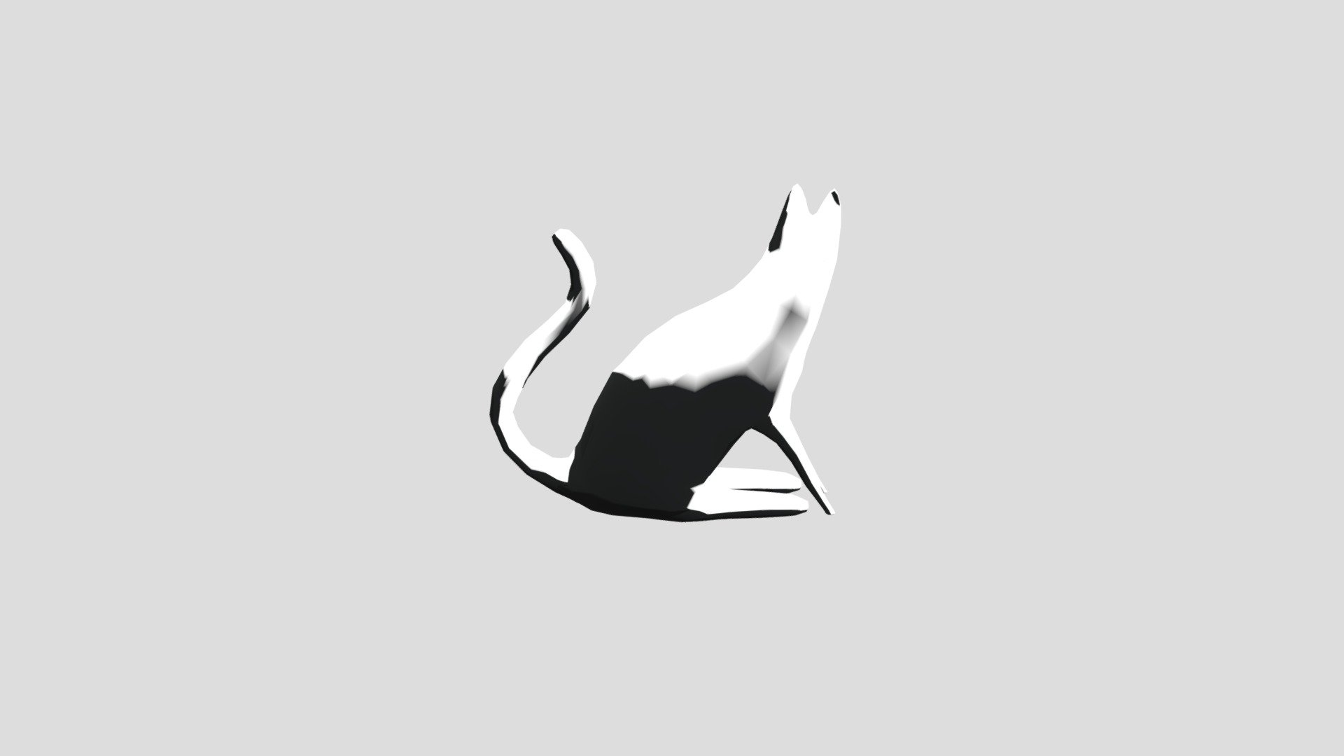 Black-cat (1)
