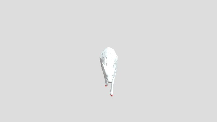 Wolf | Animation | 3D Model