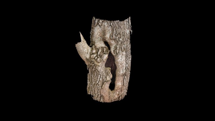 Bat Roost Feature 3D Model