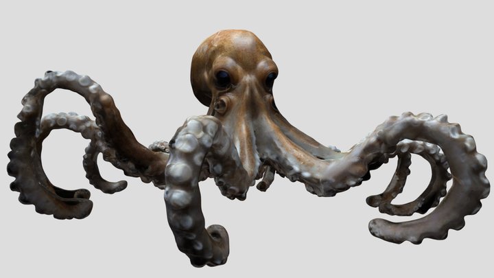 Hollow Kraken - monster octopus – Kostenloses 3D-Modell STL