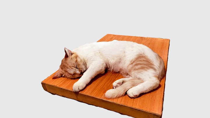 Beebee The Cat 3D Model