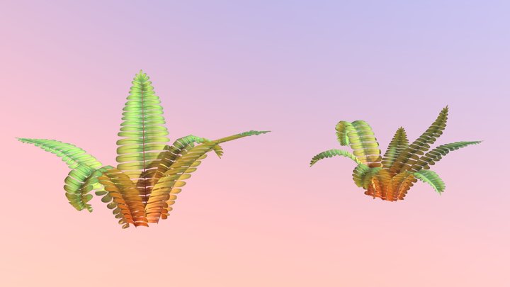 Ferns 3D Model