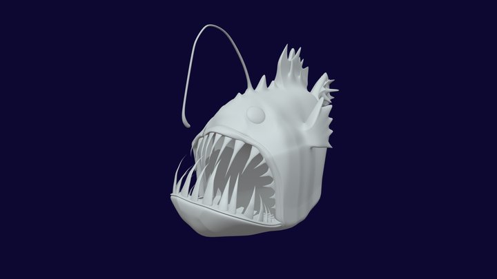 Angler Fish (No Texture) 3D Model