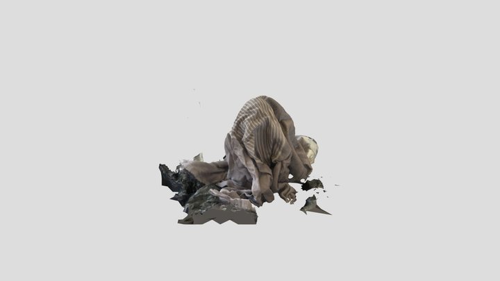 Scan 2022-11-29T12:00:37.201Z 3D Model